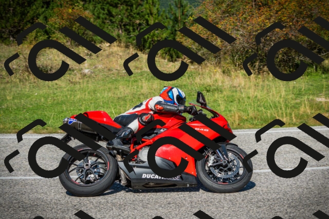 202509131147-DSC02900_c1_