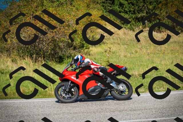 202509131148-DSC02917_c1_