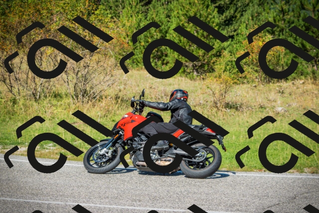 202509131150-DSC02951_c1_