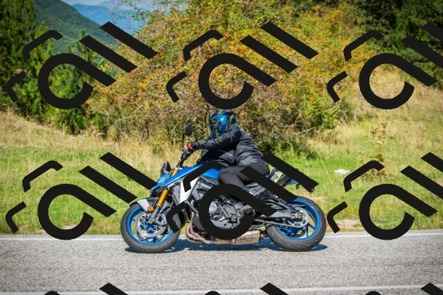 202509131154-DSC02975_c1_