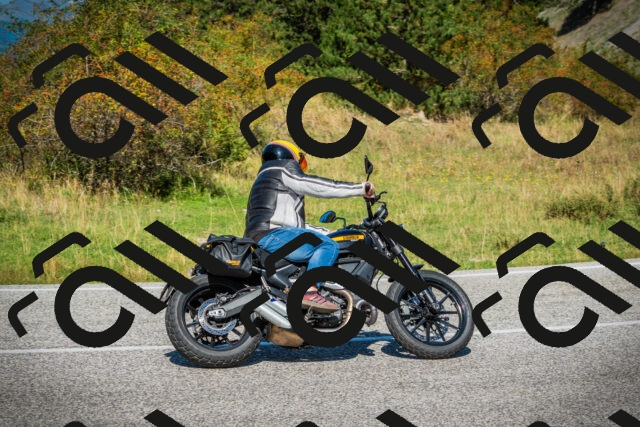 202509131154-DSC02998_c1_