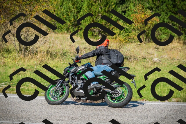 202509131155-DSC03006_c1_