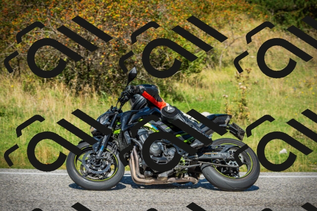 202509131155-DSC03010_c1_