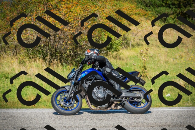 202509131155-DSC03014_c1_