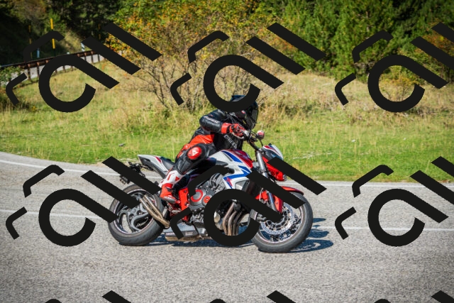 202509131200-DSC03123_c1_