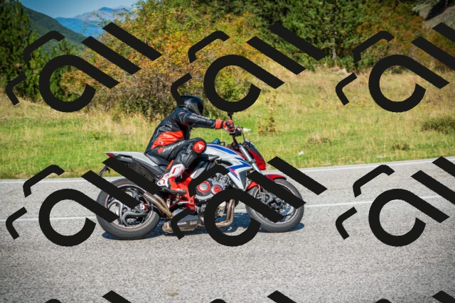 202509131200-DSC03124_c1_