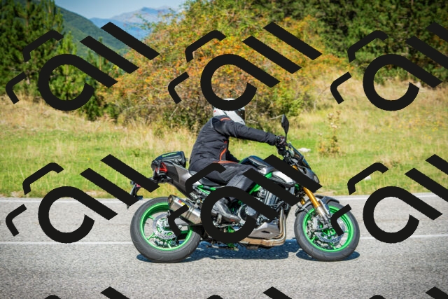 202509131200-DSC03132_c1_