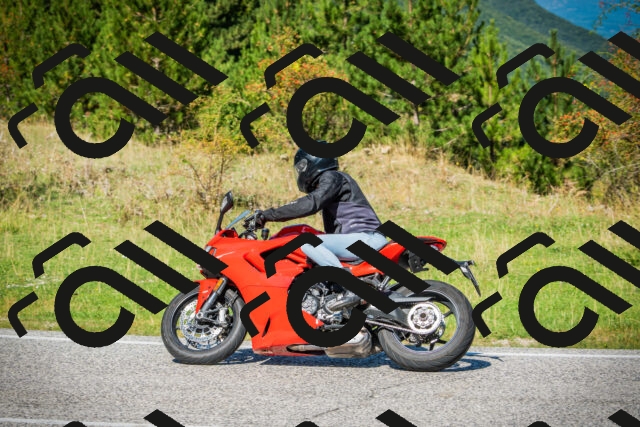 202509131201-DSC03155_c1_