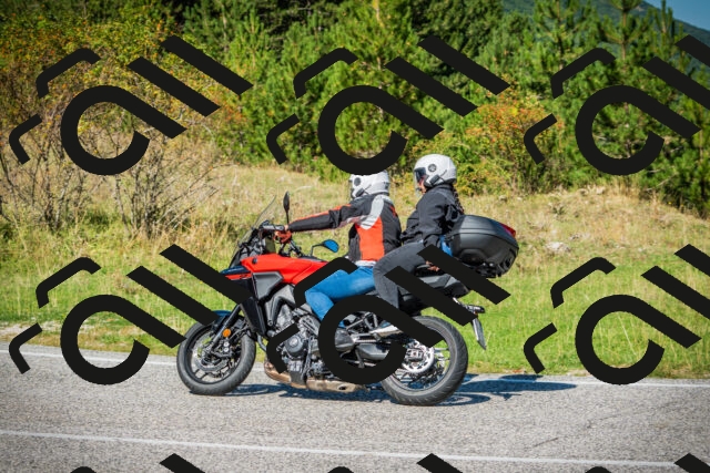 202509131202-DSC03159_c1_