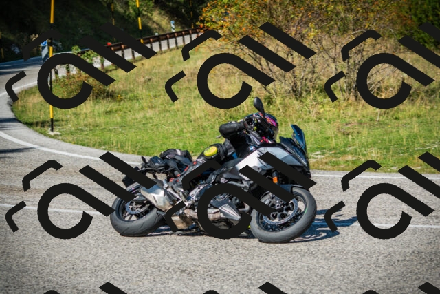 202509131203-DSC03176_c1_