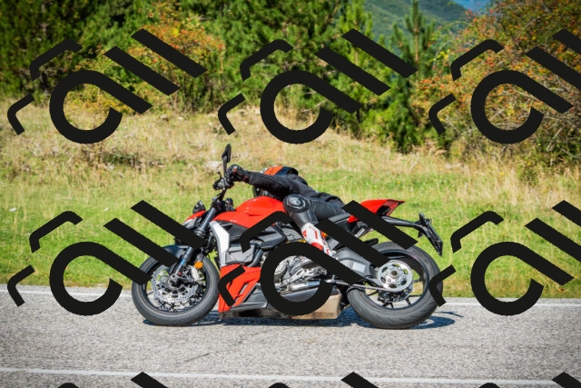 202509131205-DSC03202_c1_