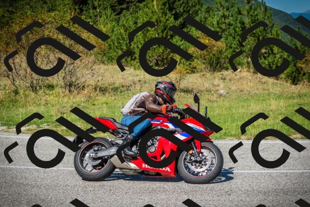 202509131207-DSC03228_c1_