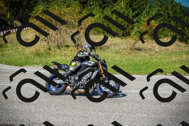 202509131207-DSC03237_c1_