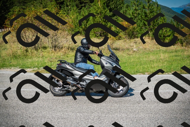 202509131208-DSC03251_c1_