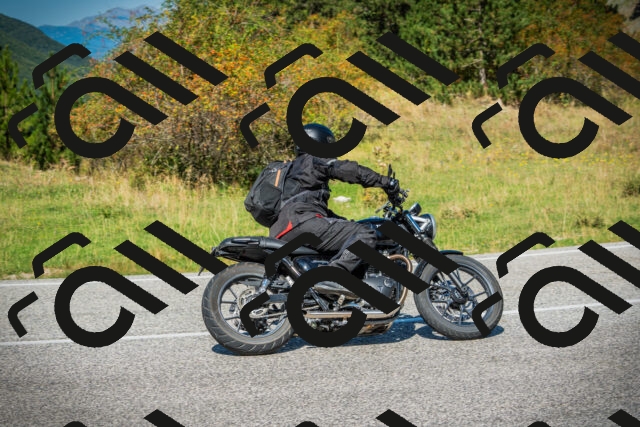 202509131208-DSC03254_c1_