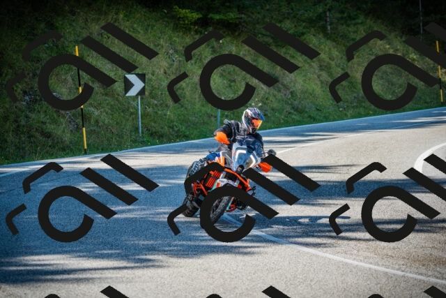 202509131208-DSC03258_c1_