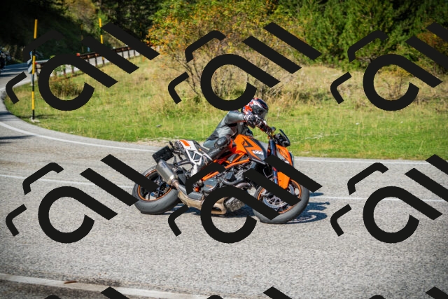 202509131210-DSC03279_c1_