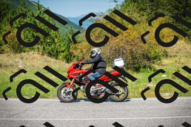 202509131210-DSC03284_c1_