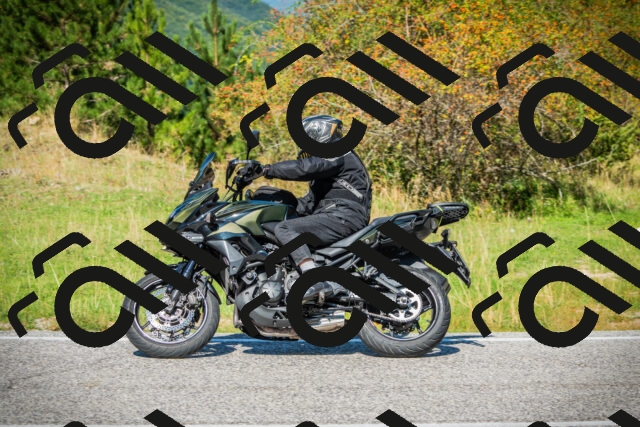 202509131210-DSC03291_c1_