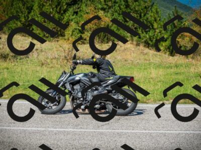 202509131211-DSC03304_c1_