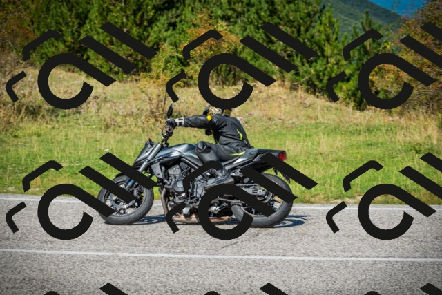 202509131211-DSC03304_c1_