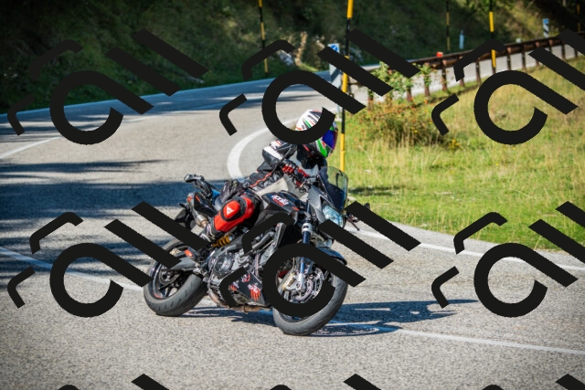 202509131211-DSC03313_c1_