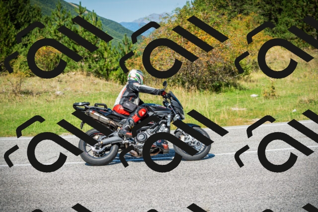 202509131211-DSC03314_c1_