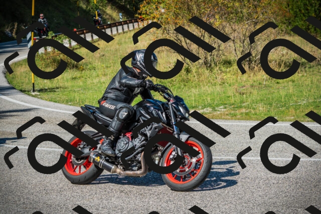 202509131212-DSC03323_c1_