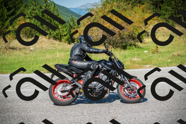 202509131212-DSC03324_c1_