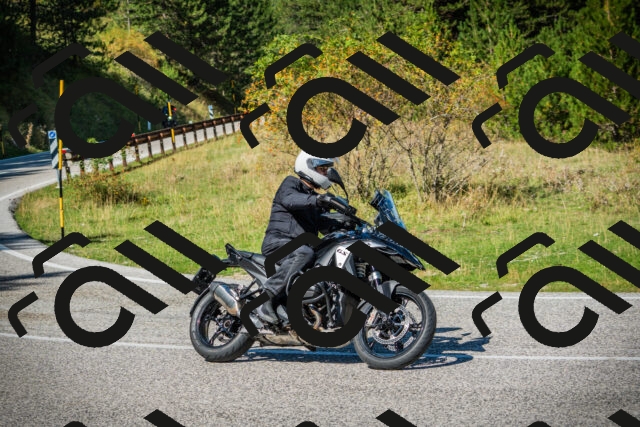 202509131212-DSC03337_c1_