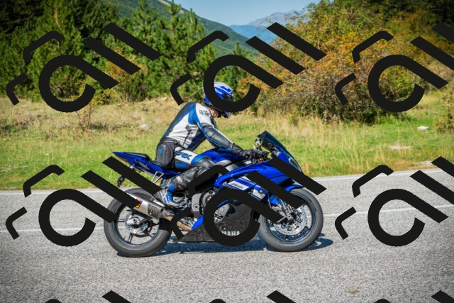 202509131213-DSC03341_c1_