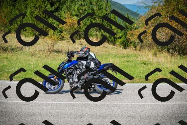 202509131213-DSC03363_c1_