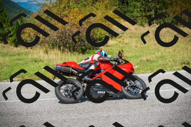 202509131217-DSC03415_c1_