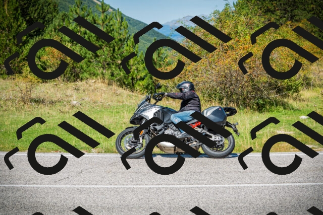 202509131219-DSC03449_c1_