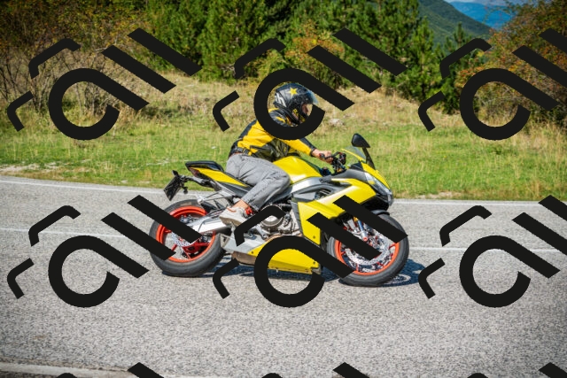 202509131219-DSC03465_c1_