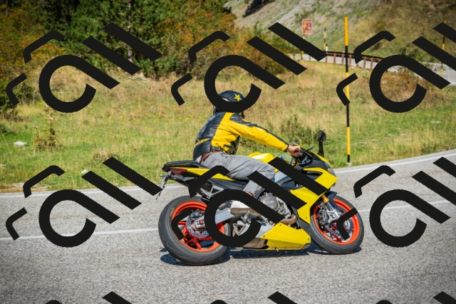 202509131219-DSC03466_c1_