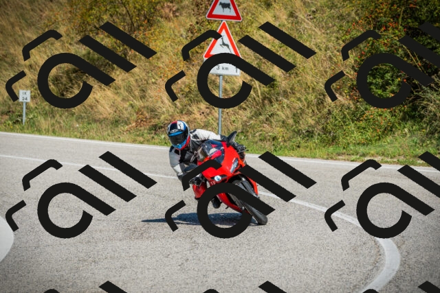 202509131219-DSC03467_c1_