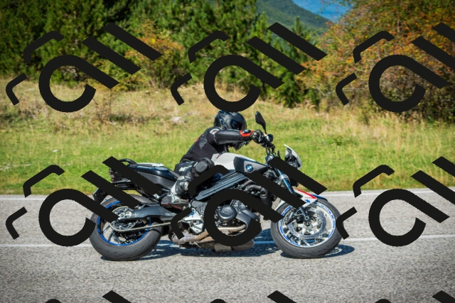 202509131219-DSC03476_c1_