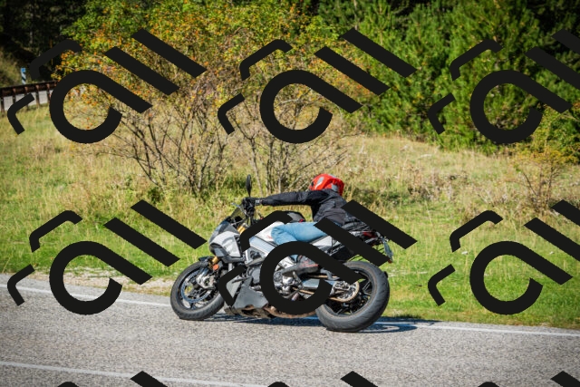 202509131222-DSC03495_c1_