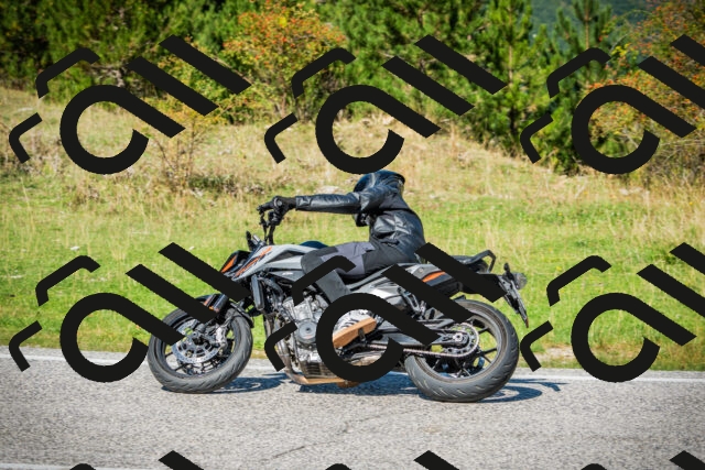 202509131224-DSC03516_c1_