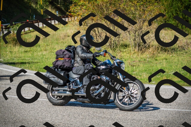 202509131226-DSC03535_c1_