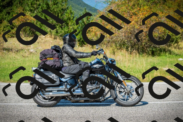 202509131226-DSC03536_c1_