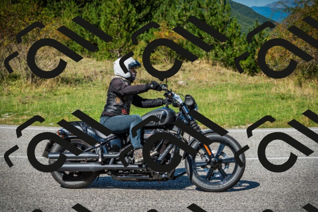 202509131226-DSC03538_c1_