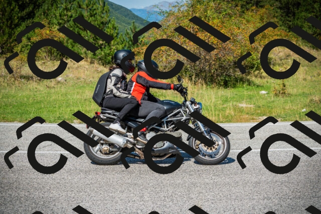 202509131228-DSC03541_c1_