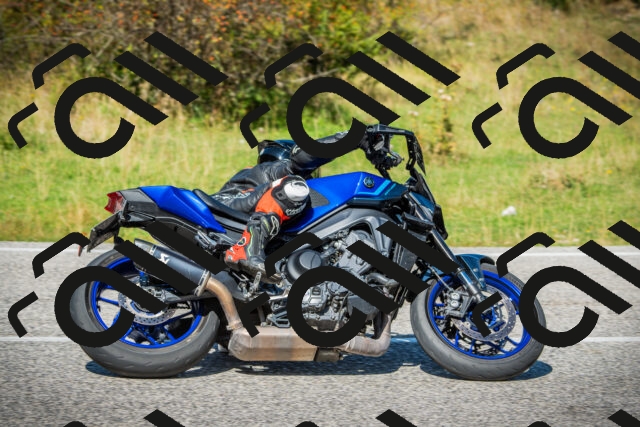 202509131229-DSC03565_c1_