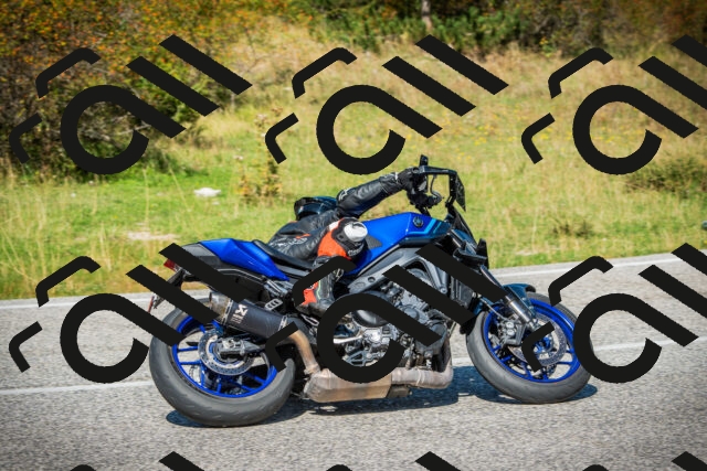 202509131231-DSC03588_c1_