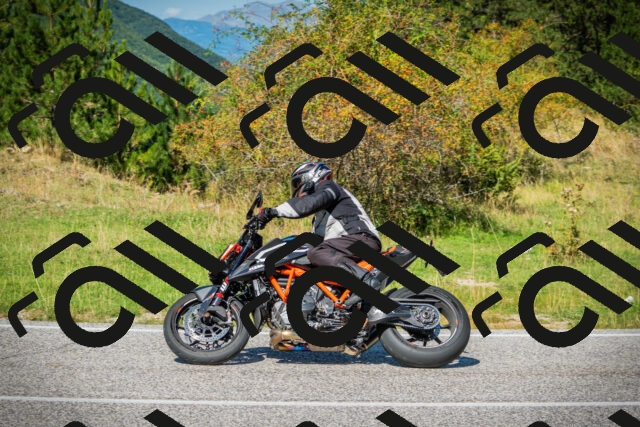 202509131231-DSC03595_c1_