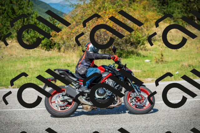 202509131235-DSC03650_c1_