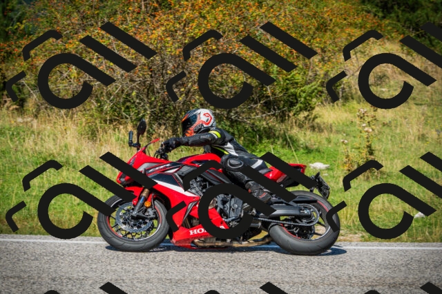 202509131236-DSC03684_c1_