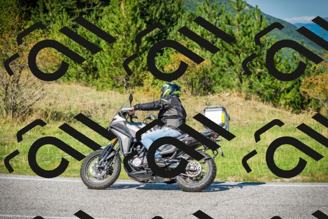 202509131239-DSC03726_c1_